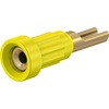 23.1010-24 1mm\Pbg Xg[u / }`R^Ng 63146659