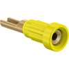 23.1010-24 1mm\Pbg Xg[u / }`R^Ng 63146659