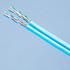 CAT6 UTP 8P メガネ型 ライトブルー 300m巻(555424461) 通信興業