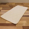 超軽量うすかる敷ふとん シングル(約100x205cm) ルナール