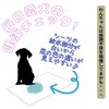 - z^ybgV[c ybgAC 63323517