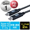 500-USB051-2 USB TypeC�P�[�u�� �T�����_�C���N�g 63339134