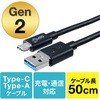 KU31-CA10 USB3.1 Gen2 TypeC - A ケーブル サンワサプライ ブラック色