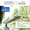 PS-3000 ガーデンポールソー AC電源タイプ 高枝切りバサミ YAMAZEN(山善) 63418329