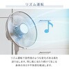 YLR-AG30E(IG) 扇風機 左右首振り 風量3段階 切タイマー リモコン付き YAMAZEN(山善) 14913976