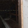 63505595