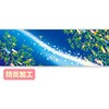 ラウンドシート 七夕イメージ(防炎加工) アルファ(販促)