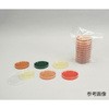 ポテトデキストロースCP寒天培地 20枚 極東製薬工業