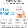 EC-C12WF ���o�C���o�b�e���[ 5000mAh �y�� ���^ �ő�15W ���o��(Type-C�~1) �o��(USB-A�~1) PSE�K�� �G���R�� 63573425