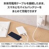 EC-C12WH ���o�C���o�b�e���[ 5000mAh �y�� ���^ �ő�15W ���o��(Type-C�~1) �o��(USB-A�~1) PSE�K�� �G���R�� 63573434