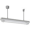 防爆形直管LEDランプ照明器具 2灯用 パイプ吊形 岩崎電気