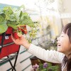VGT-PG01R Vegtrug ベジトラグ ポピーGO タカショー 63692528