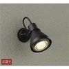 D99-7221 アウトドアライト/スポットライト/非調光 ランプ別売タイプ/LED交換可能タイプ 非調光 DAIKO(大光電機) 63711604