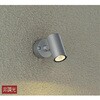 DOL-4824YS アウトドアライト/スポットライト/非調光 一般タイプ DAIKO(大光電機) 63711717