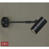 DOL-4019YB アウトドアライト/スポットライト/非調光 一般タイプ DAIKO(大光電機) 63711753