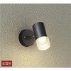 DOL-4599YB アウトドアライト/スポットライト/非調光 一般タイプ DAIKO(大光電機) 63711875
