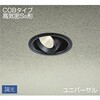 アウトドアライト/軒下ダウンライト/その他 DAIKO(大光電機)