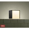 DWP-38377Y アウトドアライト/人感センサー付タイプ/シンプルタイプポーチ/ON-OFFタイプ/玄関灯/人感センサー付シンプルタイプ/LED交換可能タイプ 非調光 DAIKO(大光電機) 63713774