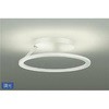 DCL-40641YG �V�[�����O/�m���ی`/�`10�� DAIKO(����d�@) 63717204