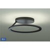 DCL-40642YG �V�[�����O/�m���ی`/�`10�� DAIKO(����d�@) 63717213