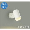 DSL-CD205W スポットライト/調色/吹抜け・傾斜天井/調色・調光 DAIKO(大光電機) 63720729