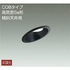 ダウンライト/非調光傾斜天井用SB形/白熱灯60W相当/アウトドアライト/軒下ダウンライト/非調光 傾斜天井用/吹抜け・傾斜天井/非調光傾斜天井用ダウン DAIKO(大光電機)