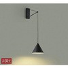 DBK-39751Y 吹抜け・傾斜天井/ブラケット/非調光 一般タイプ/洋風 非調光/デコラティブタイプ/LED交換可能タイプ 非調光 DAIKO(大光電機) 63738649