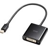 ϊA_v^ Mini DisplayPort-DVI Active^Cv