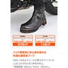 62945 HBS-008+TChSAu[c DAYTONA(fCgi) 63925438