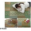 1030840120602 O Ԃ J[ybg O Mbx RۖhLL CPqRER[|[V 64107245