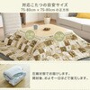 KKF-1818(NDMO) zc ` 75~75 80~80p tl si 64165757