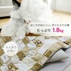 KKF-1824(NDMO) zc ` 105~70-75p tl si 64165800