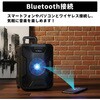 TY-1900 Bluetoothڃ|[^uXs[J[ CICONIA 64182749