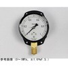 AC20-831 ���ʌ`���͌v(��75)���`C�g �ϐU�p AC20-831�V���[�Y ����v�� 64238547