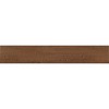 YN7901-PK �n�s�A�t���A6T �x�[�V�b�N�� DAIKEN(��:�匚�H��) 64362674