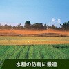 A20 PE防鳥網(400D)オレンジ 東京戸張 64421116
