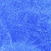 64506269