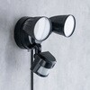 800-LED098BK LEDCg lZT[t Jt T_CNg 64601331