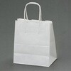 EA927SA-1 210x120x250mm 紙袋(白無地/50枚) エスコ 64639847