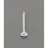 3.8x38mm コーススレッド(鉄/ホワイト/100本) エスコ