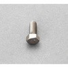 M8x12mm 六角ボルト(チタン/1本) エスコ