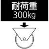 64674558