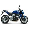 1 サイレンサー スリップオン コニカル ステンレス， スリーブ: カーボン Termignoni (テルミニョーニ)