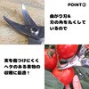 EA540BK-21 154mm 摘果はさみ(曲刃) エスコ 64731337