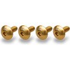 CNC Racing / シーエヌシーレーシング Carbon screen screw kit Ducati Multistrada 1200， Gold | KV462G