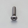M4 x20mm 六角穴付ボルト(超低頭/クロメート/4本) エスコ
