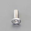 M4 x12mm 六角穴付ボルト(超低頭/ステンレス/2本) エスコ