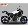 SSV650-009 P-TEC II CPL-VXe 2-1 }t[ XeX BODIS ({fBX) 64821017