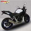 SSV650-009 P-TEC II CPL-VXe 2-1 }t[ XeX BODIS ({fBX) 64821017