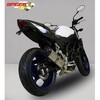 SSV650-009 P-TEC II CPL-VXe 2-1 }t[ XeX BODIS ({fBX) 64821017